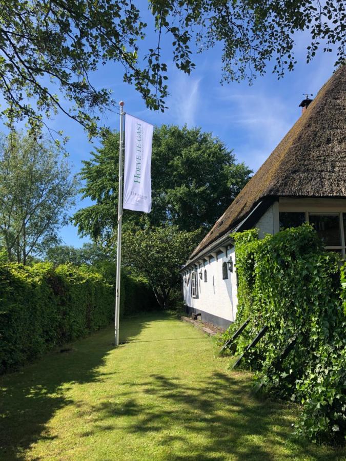 Hoeve Te Gast - Vakantieboerderij Groet Dış mekan fotoğraf