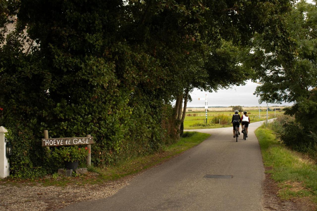 Hoeve Te Gast - Vakantieboerderij Groet Dış mekan fotoğraf